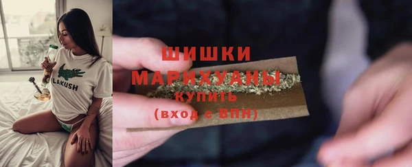 индика Белоозёрский