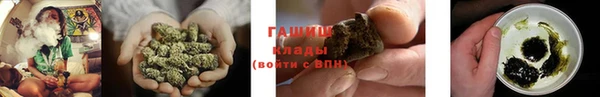 индика Белоозёрский