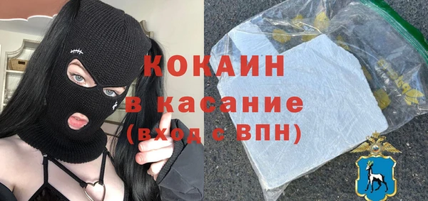 спиды Ельня