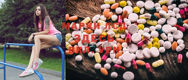 индика Белоозёрский