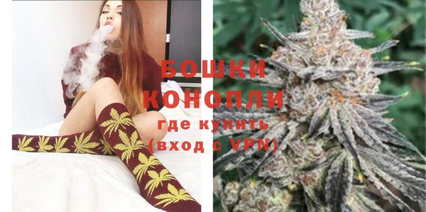 индика Белоозёрский