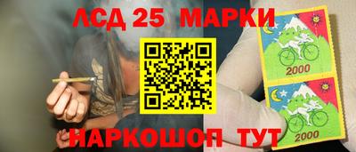 амф Заволжье