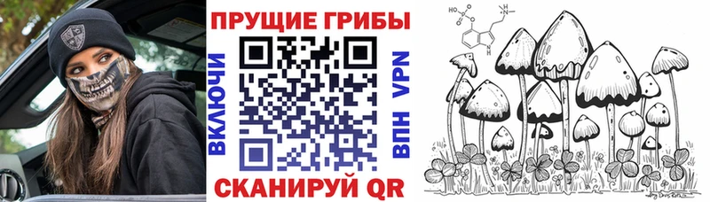 Галлюциногенные грибы прущие грибы Валуйки