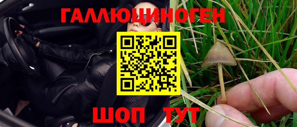 Галлюциногенные грибы Psilocybine cubensis  Вход с VPN  Валуйки 